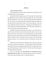 LUẬN án TIẾN sĩ   đạo hòa hảo và ẢNH HƯỞNG của nó ở ĐỒNG BẰNG SÔNG cửu LONG