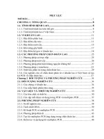 Nghiên cứu tạo kit multiplex PCR chẩn đoán nhanh các chủng vi khuẩn lao ở việt nam (luận văn thạc sĩ)