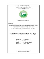 Tình hình mắc hội chứng đường hô hấp ở lợn ngoại nuôi thịt từ sau cai sữa đến xuất bán và thử nghiệm một số phác đồ điều trị bệnh 