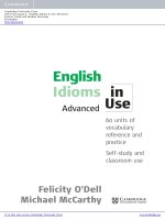 english idioms in use advanced book with answers
