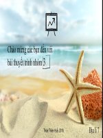 Khu vực Nam Phi  Châu Phi