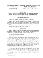 Chien luoc cong nghiep viet nam trong khuôn khổ hợp tác việt nam nhật bản