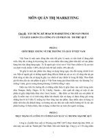 Xây dựng kế hoạch marketing cho sản phẩm tã giấy GOON của công ty XS TM phú quý