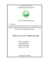 Đánh giá tình hình mắc bệnh viêm tử cung, bệnh viêm vú ở lợn nái ngoại nuôi tại trại lợn nái nguyễn thanh lịch, ba vì – hà nội và phác đồ điều trị