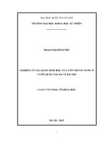 Nghiên cứu đa dạng sinh học của côn trùng nước ở Vườn Quốc gia Ba Vì, Hà Nội (luận văn thạc sĩ)