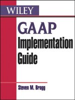 John wiley  sons, GAAP implementation guide 2004 ISBN0471455695