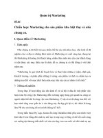 Chiến lược marketing sản phẩm khu biệt thự và nhà chung cư