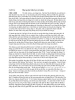 CONTINUED GROWTH ZARA AND INDITEX