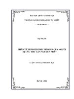 Phân tích proteomic mô gan của người bị ung thư gan nguyên phát (luận văn thạc sĩ)