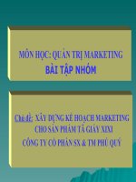 Xây dựng kế hoạch marketing cho sản phẩm tã giấy GOON của công ty XS TM phú quý