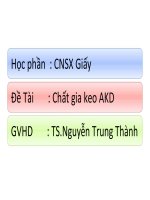 tieu luan CHẤT GIA KEO AKD