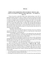 CHIẾN lược MARKETING CHO sản PHẨM  DỊCH vụ AIR – TAXI của CÔNG TY DỊCH vụ BAY MIỀN bắc – TCT DỊCH vụ BAY VN