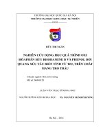 NGHIÊN CỨU ĐỘNG HỌC QUÁ TRÌNH OXI HÓAPHÂN HỦY RHODAMINE B VÀ PHENOL BỞI QUANG XÚC TÁC BIẾN TÍNH TỪ TiO2 TRÊN CHẤT MANG TRO TRẤU (LUẬN ÁN THẠC SĨ)