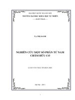 Nghiên cứu một số phân tử nam châm hữu cơ (luận văn thạc sĩ)
