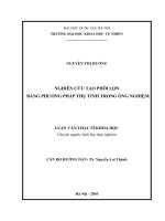 Nghiên cứu tạo phôi lợn bằng phương pháp thụ tinh trong ống nghiệm (luận văn thạc sĩ)