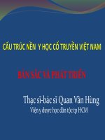 Cấu Trúc Nền  Y Học Cổ Truyền Việt Nam Bản Sắc Và Phát Triển