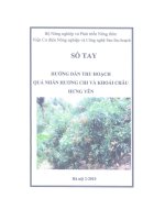 Ebook sổ tay hướng dẫn thu hoạch quả nhãn hương chi và khoái châu tỉnh hưng yên 
