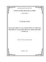 Tán xạ hạt nhân của các nơtron phân cực trên mặt tinh thể có các hạt nhân phân cực trong điều kiện có phản xạ (luận văn thạc sĩ)