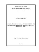 Nghiên cứu khả năng hạ đường huyết của cây chuối hột Musra barjoo Sieb lên chuột gây tiểu đường type 2 (luận án thạc sĩ)