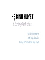 Bài Giảng Hệ Kinh Huyệt 6 Đường Kinh Chân