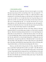 LUẬN án TIẾN sĩ   VAI TRÒ NHẬN THỨC KHOA học TRONG HOẠT ĐỘNG QUÂN sự của sĩ QUAN QUÂN  đội NHÂN dân VIỆT NAM HIỆN NAY