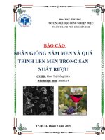 NHÂN GIỐNG NẤM MEN VÀ QUÁ TRÌNH LÊN MEN TRONG SẢN XUẤT RƯỢU