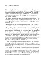 vật lý thực phẩm