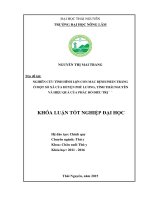 Nghiên cứu tình hình lợn con mắc bệnh phân trắng ở một số xã của huyện phú lương   tỉnh thái nguyên và biện pháp phòng trị  