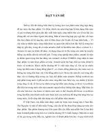 Nghiên cứu trích ly và chuyển đổi màu hạt điều màu (bixa orellana l ) thành norbixin tạo chế phẩm bột norbixin tan trong nước 