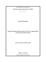 Phân tích proteomics mô ung thư của bệnh nhân ung thư đại trực tràng (luận văn thạc sĩ)