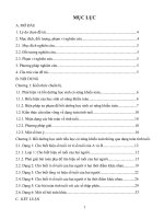 Phát hiện và bồi dưỡng học sinh tiểu học có năng khiếu toán thông qua dạng toán tính tuổi