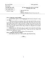 TỔNG hợp đề THI và HƯỚNG dẫn CHẤM THI HSG cấp TỈNH môn văn lớp 12