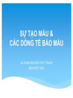 Sự tạo máu & các dòng tế bào máu
