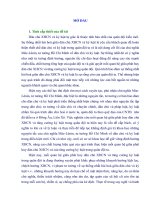 LUẬN án TIỄN sĩ   mối QUAN hệ GIỮA PHÁT HUY dân CHỦ xã hội và TĂNG CƯỜNG kỷ LUẬT TRONG QUÂN đội NHÂN dân VIỆT NAM HIỆN NAY