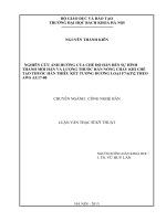 trang phu bia luan van KIEN  IN 