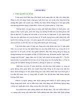 LUẬN án TIẾN sĩ   PHÁT HUY sức MẠNH TỘNG hợp của nền QUỐC PHÒNG TOÀN dân, ĐÁNH bại NHỮNG đội QUÂN VIỄN CHINH của CHỦ NGHĨA đế QUỐC