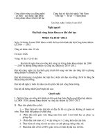 NGHI QUYET DAI HOI CONG DOAN 2010 