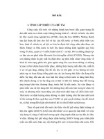LUẬN án TIẾN sĩ   mối QUAN hệ GIỮA VIỆC xây DỰNG NHÀ nước PHÁP QUYỀN với sự PHÁT TRIỂN đất nước THEO ĐỊNH HƯỚNG xã hội CHỦ NGHĨA