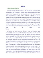 LUẬN văn THẠC sĩ   NHỮNG vấn đề cơ bản về cổ PHẦN hóa DOANH NGHIỆP NHÀ nước và tác ĐỘNG của nó đến TIỀM lực QUỐC PHÒNG