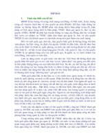 LUẬN văn THẠC sĩ   NHỮNG vấn đề lý LUẬN và THỰC TIỄN về CÔNG tác vận ĐỘNG QUẦN CHÚNG THAM GIA QUẢN lý bảo vệ ĐƯỜNG BIÊN, cột mốc của bộ đội BIÊN PHÒNG các TỈNH BIÊN GIỚI PHÍA bắc