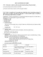 LÝ THUYẾT môn tài CHÍNH DOANH NGHIỆP