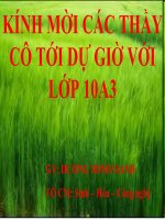 Bài Giảng Phối Hợp Khẩu Phần Ăn Cho Vật Nuôi