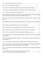 26 cau hoi on thi nguyen ly gia ca thi truong