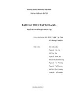 Báo cáo thực tập Địa lí (đại học khoa học tự nhiên Hà Nội)