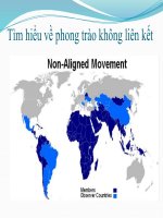 Tìm hiểu về phong trào không liên kết NonAligned Movement