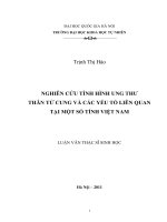 Nghiên cứu tình hình ung thư thân tử cung và các  yếu tố liên quan tại một số tỉnh Việt Nam (luận văn thạc sĩ)