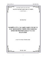 nghiên cứu các điều kiện tách và xác định đồng thời chất kháng sinh metronidazole và các sulfamit  (luận văn thạc sĩ)