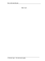 Định hướng phát triển của công ty cổ phần đầu tư xây dựng thương mại thái sơn tđn 