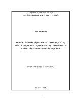 Nghiên cứu phát hiện và định lượng một số đột biến của hội chứng động kinh, giật cơ với sợi cơ không đều  MERRF ở người Việt Nam (luận văn thạc sĩ)