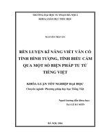 Rèn luyện kỹ năng viết văn có tính hình tượng, tính biểu cảm qua một số biện pháp tu từ tiếng việt 